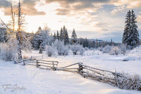Frozen western Montana landscape in the Seeley-Swan Valley | Morning sunlight adds a sparkle to the snow crystals in a beautiful meadow surrounded by trees 