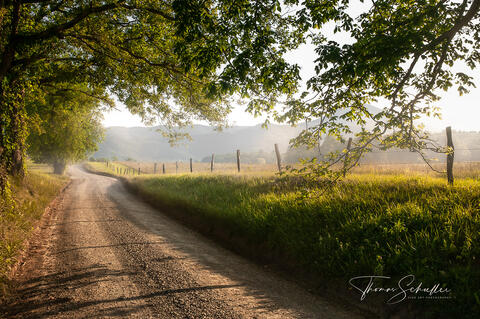 Misty Sunrise along Hyatt Lane in the scenic Cades Cove of Great Smoky Mountains National Park | A Quiet Country Road Fine Art Print