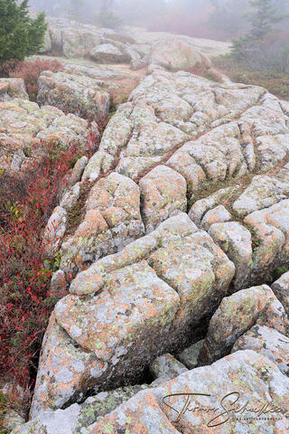 Semi-abstract granite formations atop the summit of Cadillac Mountain in Maine | Fine Art Intimate landscape prints for sale