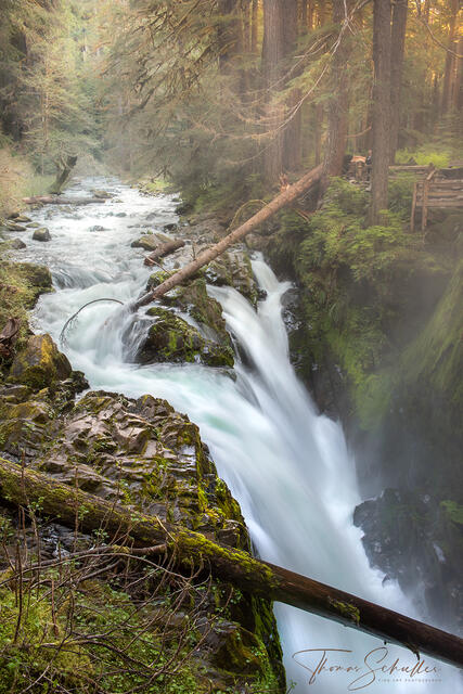 Nestled within a lush evergreen rainforest full of ferns and moss-covered old-growth trees is Sol Duc Falls | Luxurious Olympic National Park Fine Art Prints 