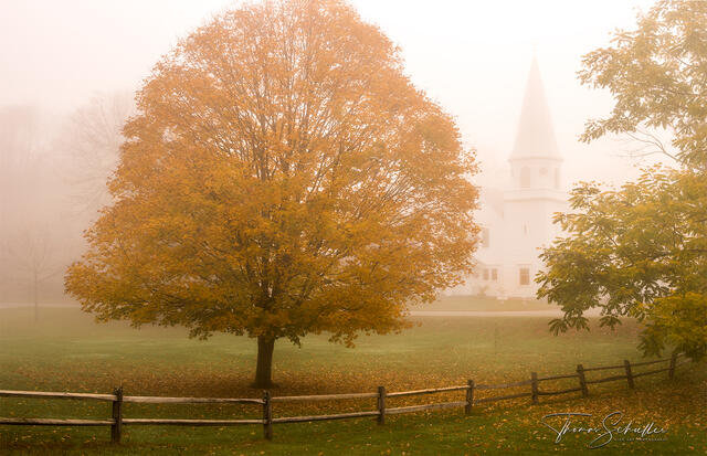 Classic visions of a New England church & beautifully shaped maple tree emerge through the morning mist in rural Sherman Connecticut 