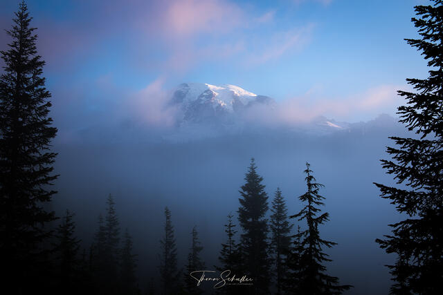 ﻿The majestic presence of Mt Rainier emerging through mist at sunrise |  Luxury Edition Artwork captures the mood and drama of the Pacific Northwest 