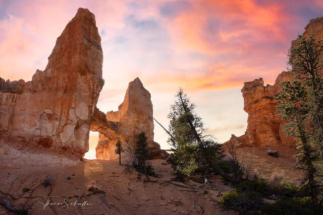 Tower Bridge is one of Bryce Canyons prettiest natural Arches photographed against a high-desert sunset sky | Luxury Edition Fine Art Prints 
