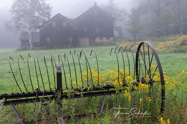 A Rustic Berkshires country scene including an enchanting old weathered barn and hayrake in an open pasture on a misty summer morning | Fine Art Prints
