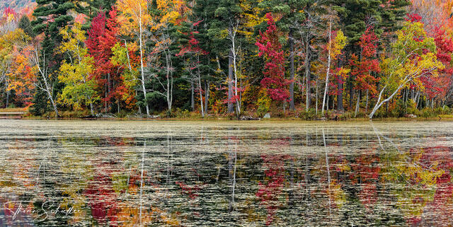 Vibrant Fall Foliage Colors of Central Vermont Reflect off the Surface of a Remote Pond in the Wilderness | Limited Edition Prints For sale