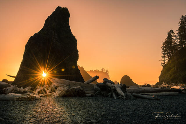 Towering Sea stacks along Ruby Beach on the coastline of Olympic National Park | eclectic sunset light penetrate a gap creating a starburst 