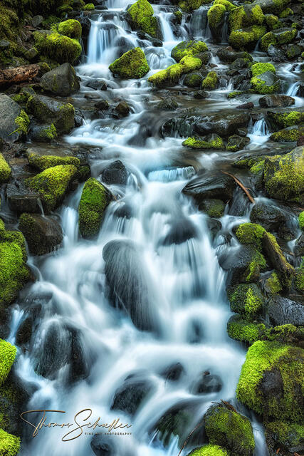 A picturesque creek cascades over and around shimmering emerald mossy boulders as it tumbles down a slope in Olympic National Park | Limited Edition Prints 