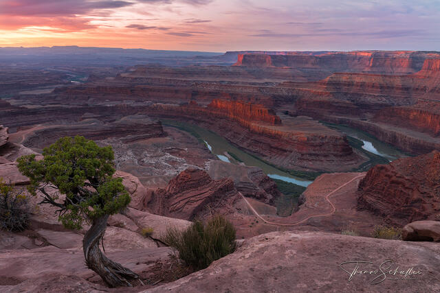 Beautiful Rosy sunrise Overlooking the Canyon of Dead Horse Point | Luxury Edition Utah Fine Art Photography prints 