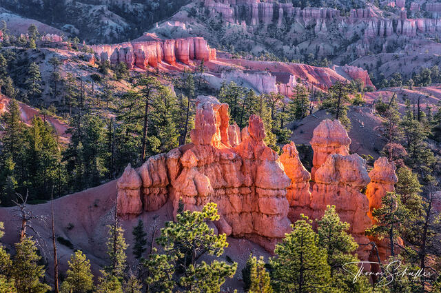 Richly colored hoodoos, canyon walls, fins, and spires soar skyward in Utah's mind-blowing Bryce Canyon |  Luxury Edition Southwest Art prints for sale