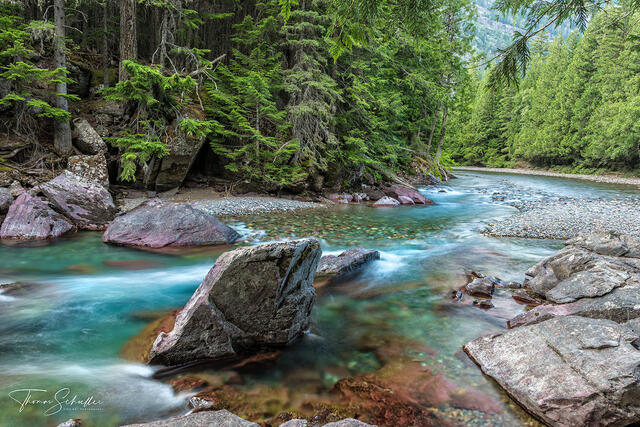 Turquoise Waters of McDonald Creek carves a path through the mysterious forest of Glacier National Park | Luxury Fine Art Montana Prints For sale 