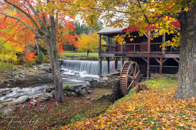 A Gentle waterfall cascades next to the Weston Vermont Old Red Grist Mill during peak Fall Foliage season | Fine Art prints for sale