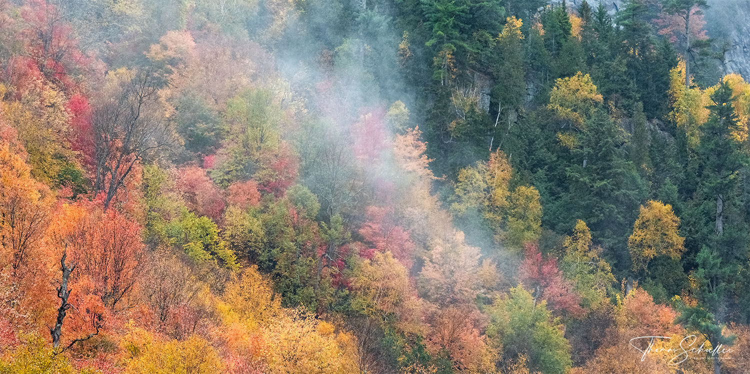 A misty hillside high up in the Adirondacks of New York blazes with vivid autumn foliage | Limited Edition Fine Art Nature photography prints for sale 