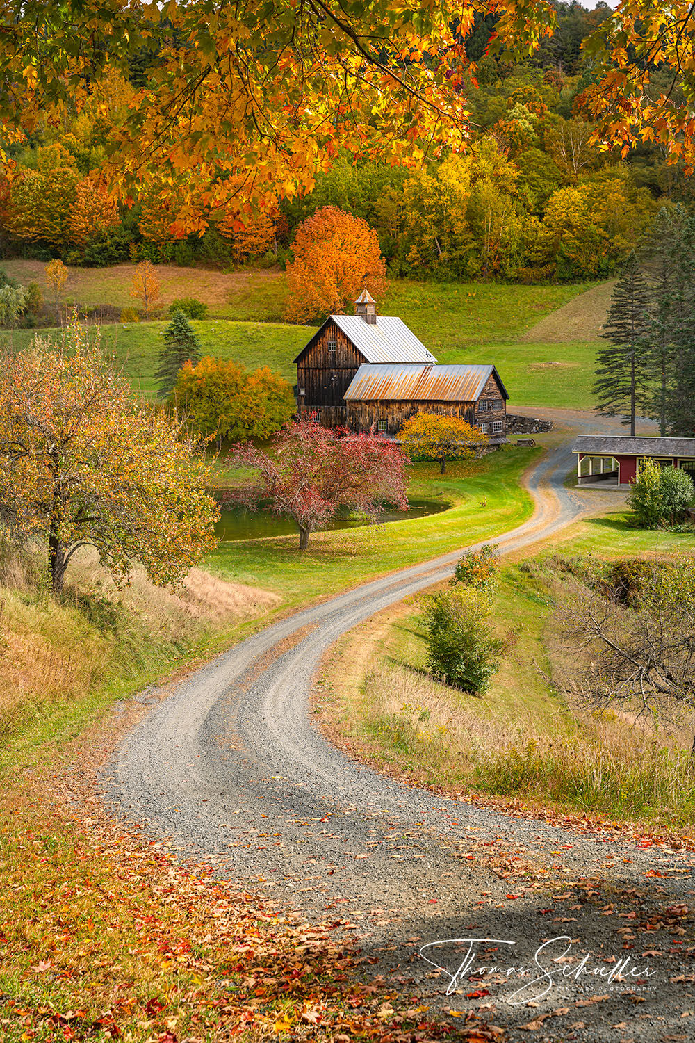 Woodstock Vermont's is the idyllic home of the picturesque Sleepy Hollow farm | Surrounded by vivid autumn colors - Fine Art Prints for sale 