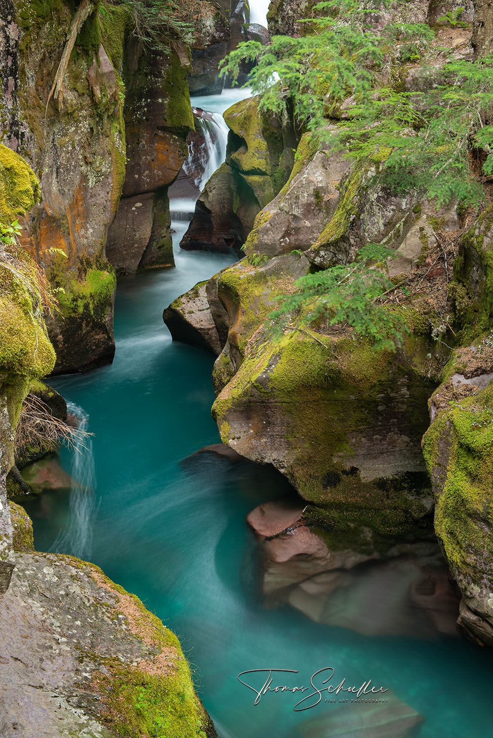 The deep Turquois waters of Avalanche Creek exude vibrance and passion | Limited Edition Fine Art Glacier Park Montana prints | Trail of The Cedars