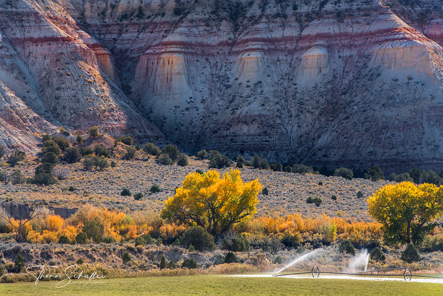 Colorful cliffs and badlands tower over brilliant autumn Cottonwoods along Utah scenic byway 12