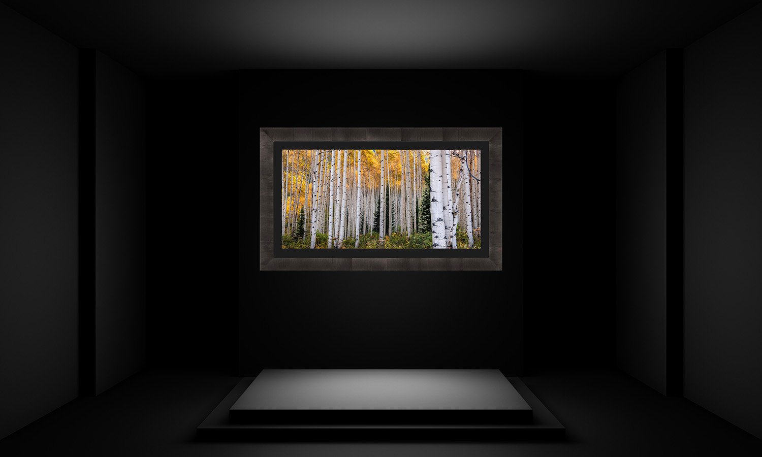 Luxury Fine Art Nature Limited Edition titled Flaming Aspens | with Dark Ash Italian Roma Frame
