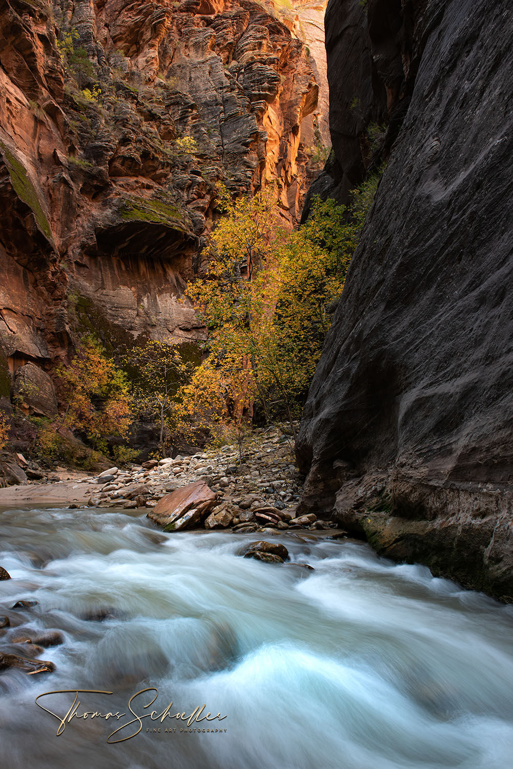 The Virgin River carves a canyon through the heart of Zion National Park | Limited Edition Zion National Park fine art photography prints for sale 