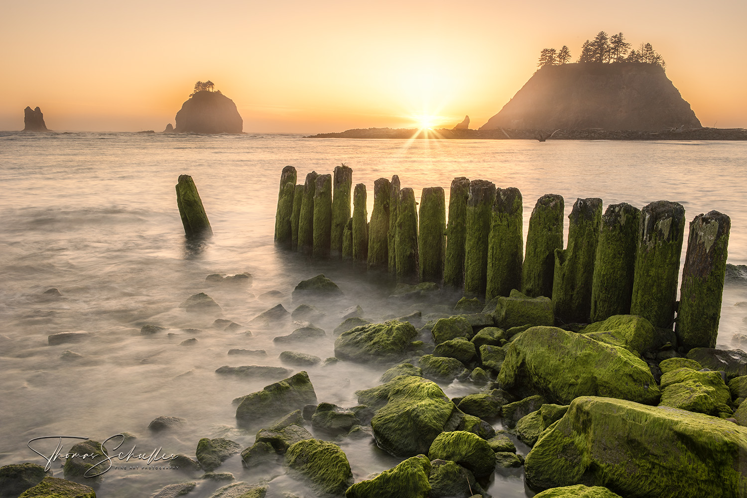 Luxury Art Edition Fine Art Photography Prints | La Push Washington - First Beach Olympic Peninsula