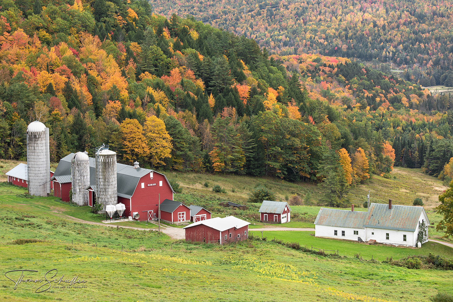 Hillside Acres Farm | Barnet Vermont Fine Art Nature Fall Foliage prints by Thom Schoeller | alternatives to Jeff Foliage