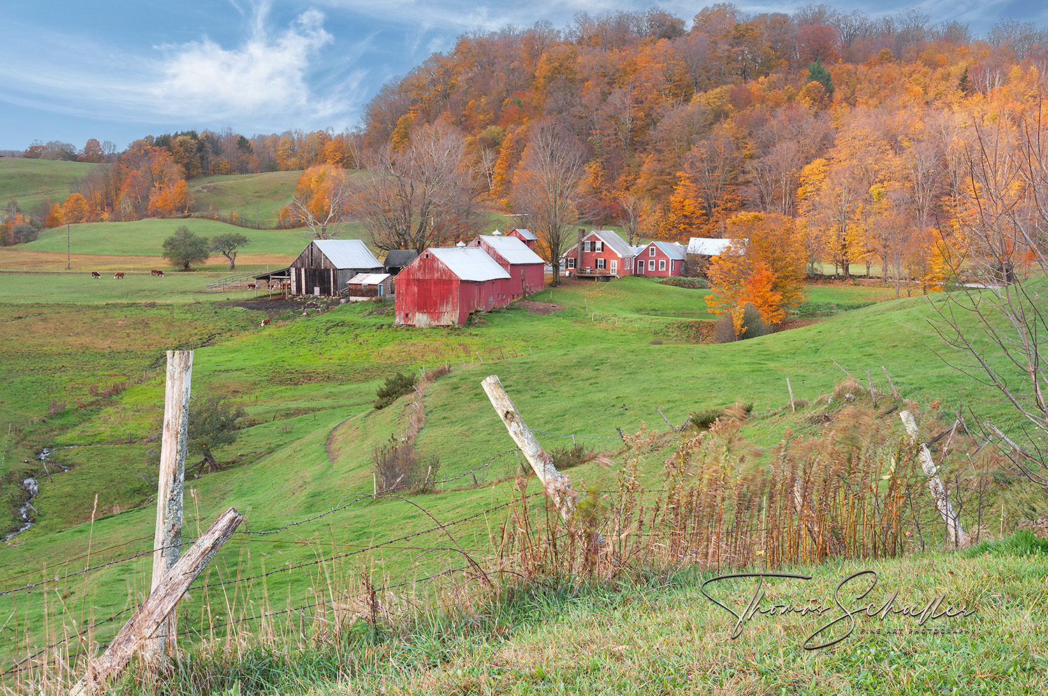 A Pastoral Autumn View of the Vermont Icon Jenne Farm From Behind Barbed Wire Fencing | Fine Art New England Photography Prints
