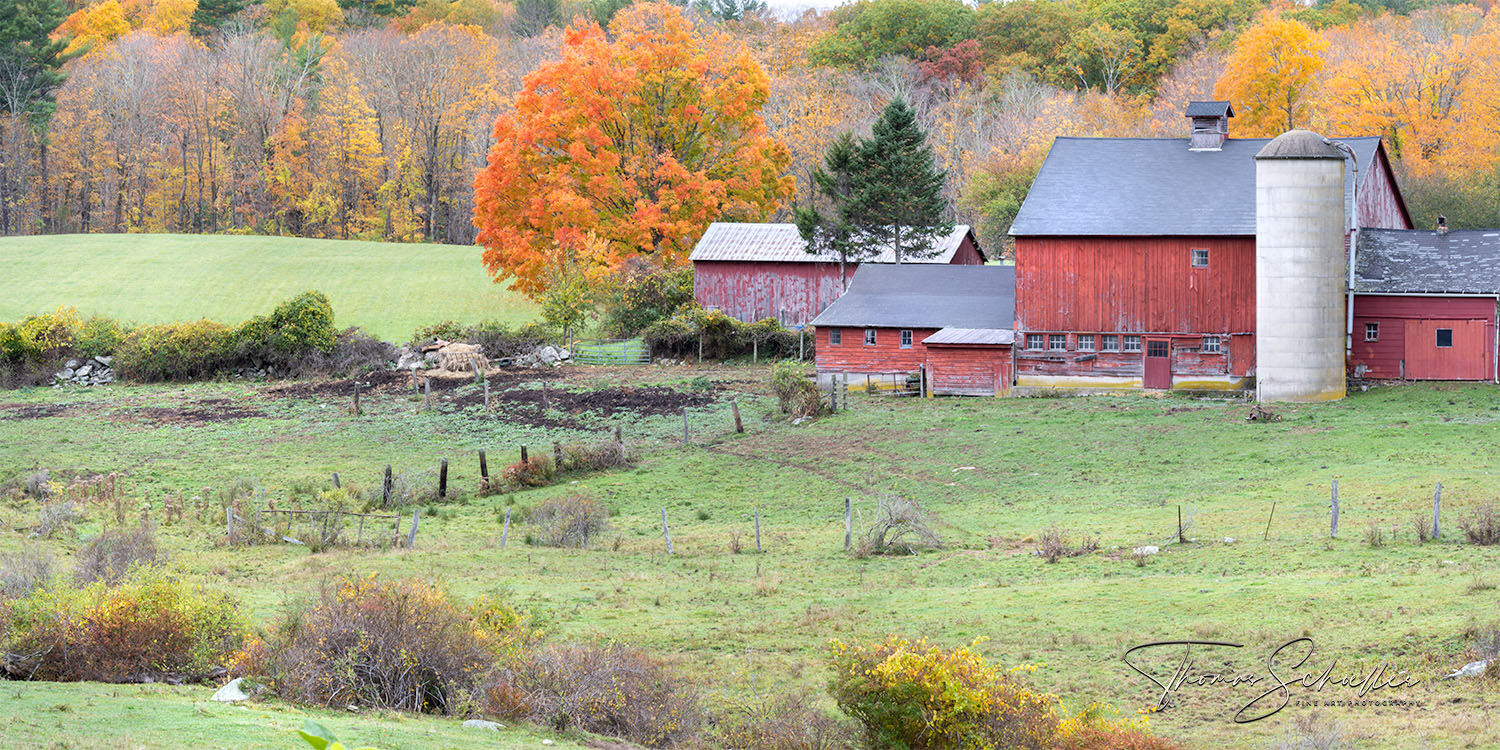 Bucolic autumnal setting in northwestern Connecticut featuring wide open meadows and rolling forested hills of a working farm near Goshen | Fine Art prints