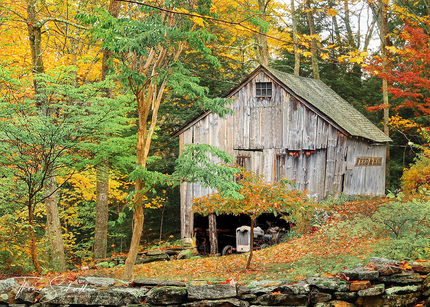 A charming rustic barn under a colorful canopy of fall foliage in Connecticut's remote northwest corner | Connecticut fine art prints & stock photos