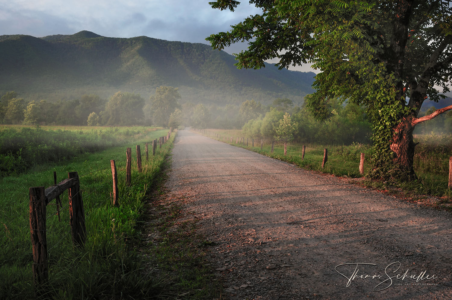 A Misty Sunrise Stroll Down Scenic Sparks Lane in Cades Cove - Great Smoky Mountain National Park | Fine Art Prints For Sale