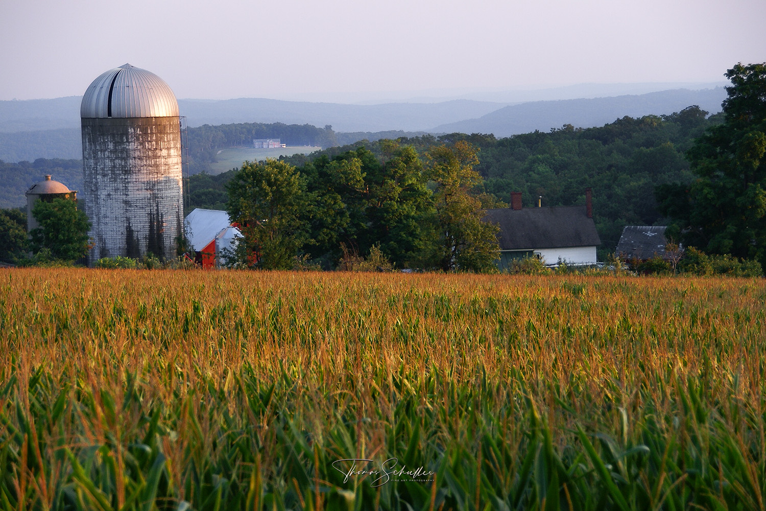 A hazy late summer sunset from the bucolic Tanner Farm in Warren Connecticut overlooking the amber corn tassels | Litchfield Hills scenic landscape prints