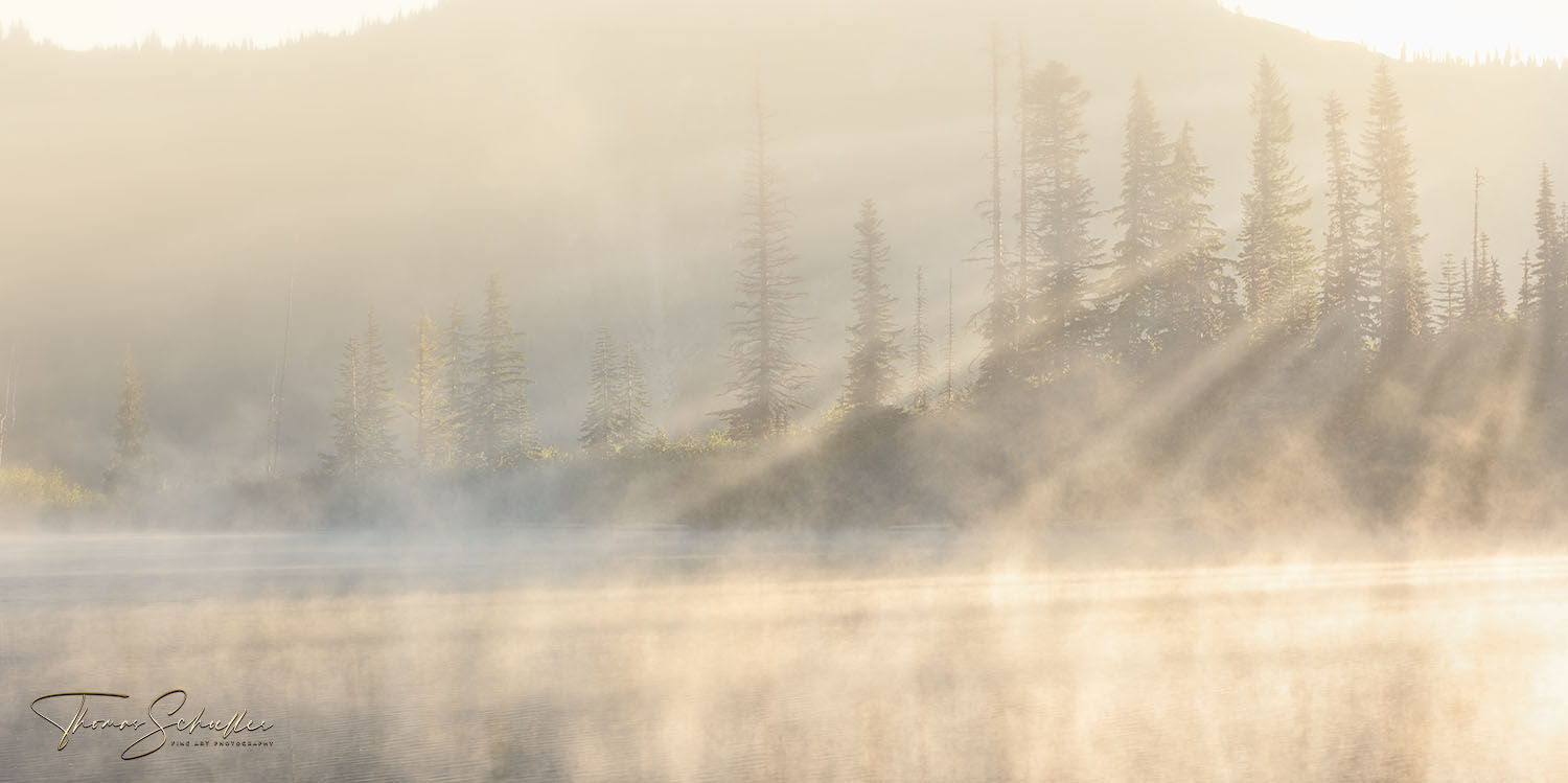 Morning sunlight filtered by forest creates sunbeams in steam rising from Reflection Lakes in Mount Rainier National Park | Limited Edition Fine Art prints 