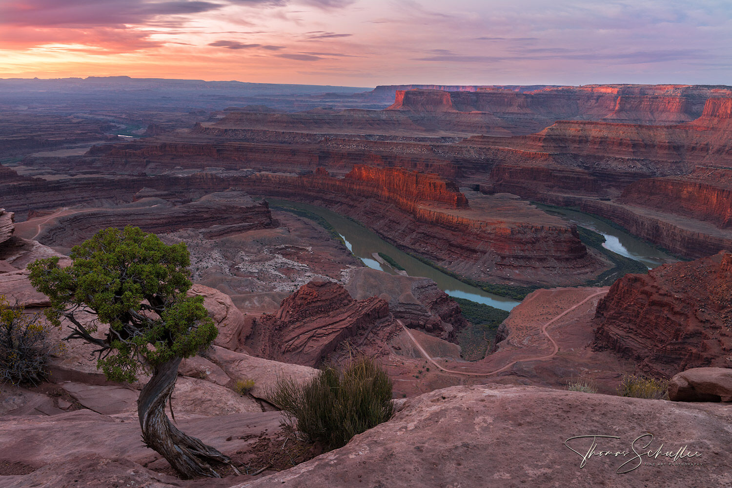One of the most beautiful rosy sunrise events photographed overlooking the Canyon of Dead Horse Point | Limited Edition Utah Fine Art Photography prints 