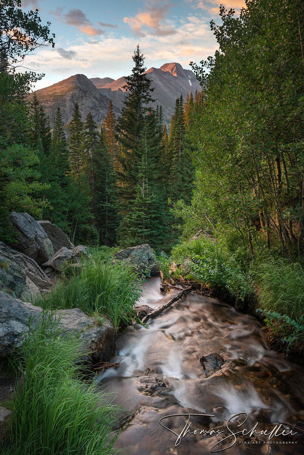 The picturesque Lyndall Creek gently flows towards the towering presence of Long's peak as it makes its way through the Rocky Mountain National Park forest