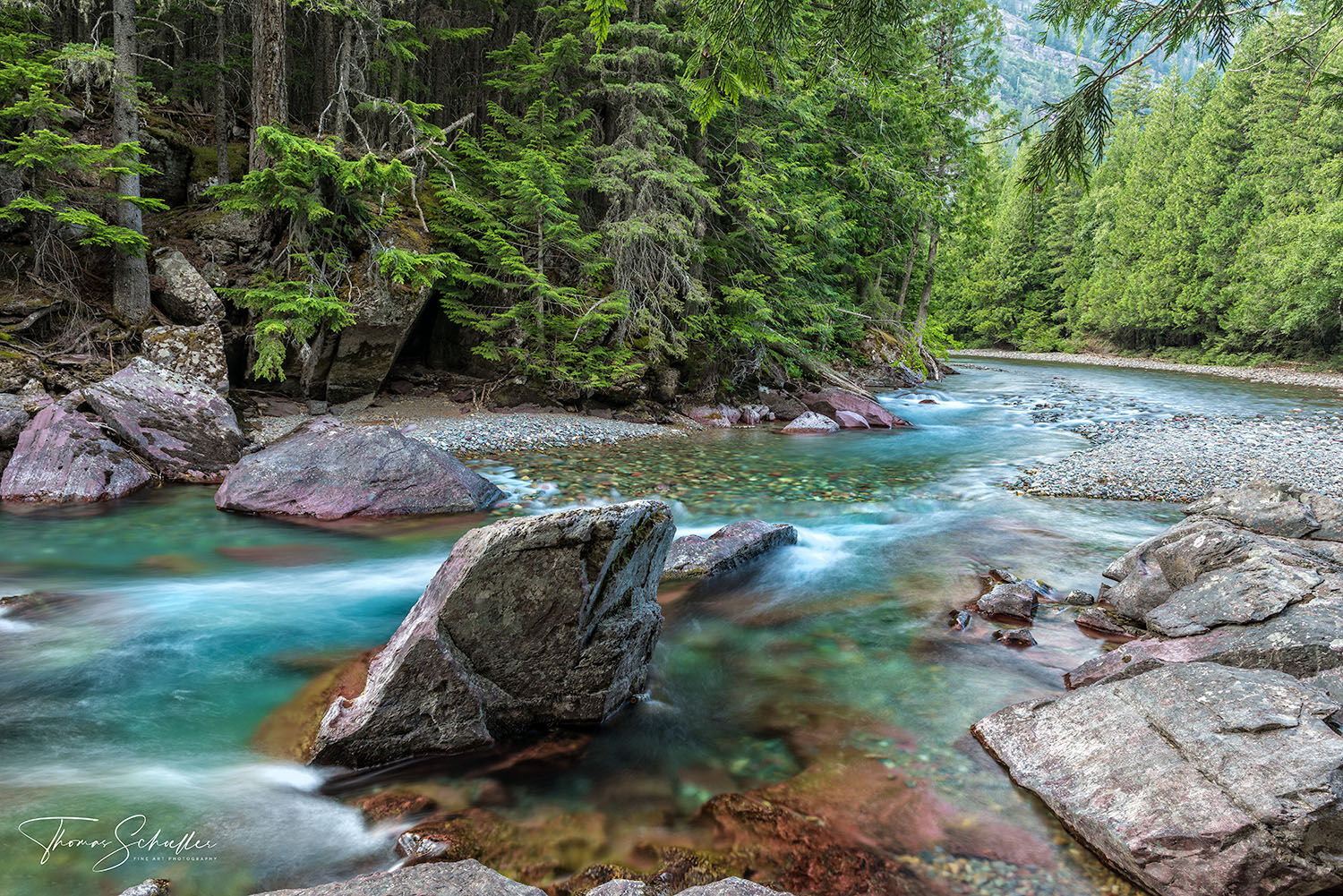 Turquoise Waters of McDonald Creek carves a path through the mysterious forest of Glacier National Park | Luxury Fine Art Montana Prints For sale